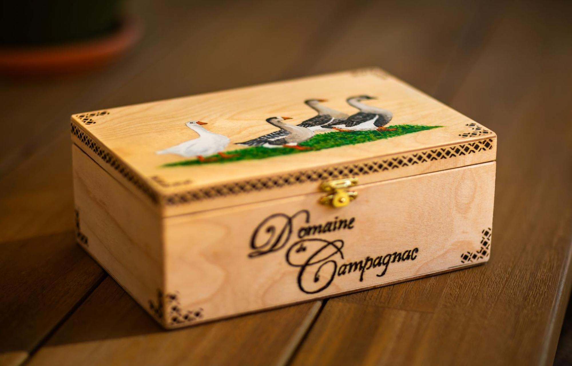 Domaine De Campagnac - Spa & Sauna Carsac-Aillac Bagian luar foto